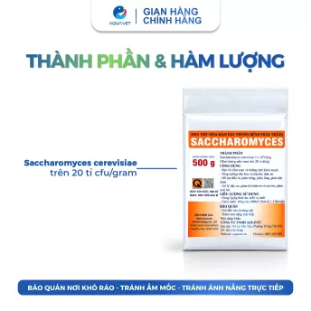 Men Tiêu Hóa Sacccharomyces Đậm Đặc